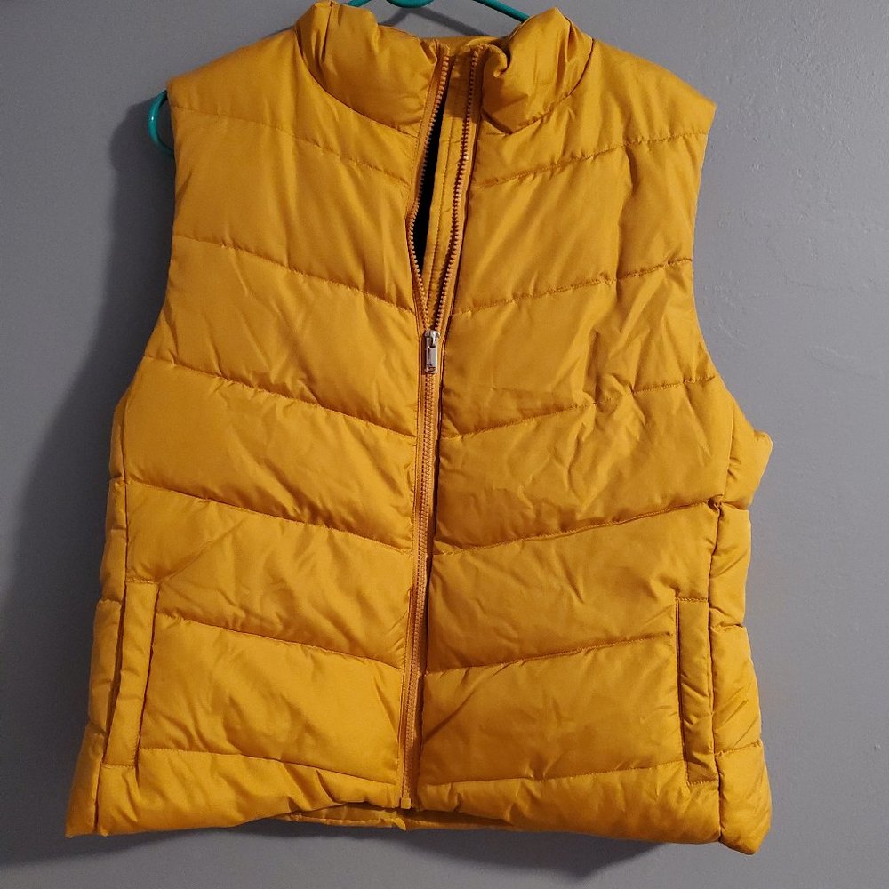 Vest